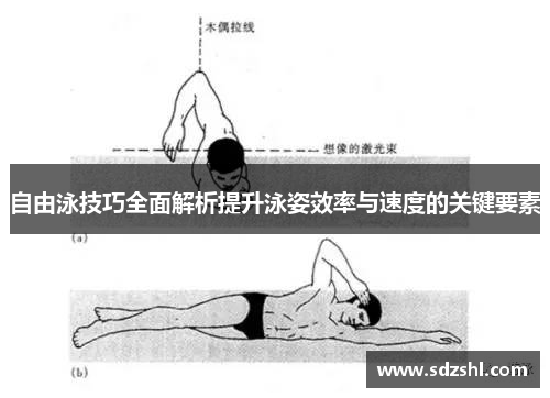 自由泳技巧全面解析提升泳姿效率与速度的关键要素